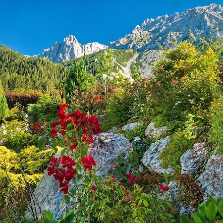 Pension Stoffenbauer Ramsau am Dachstein Exterior photo